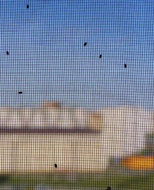 sweethomelife-fr-moustiquaire